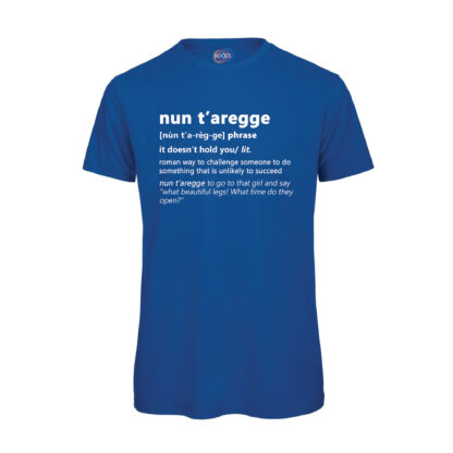 T-shirt-nun-t-Aregge-Maglietta-blu-uomo-Dizionario-Romano-boostit