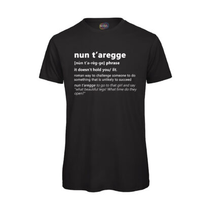 T-shirt-nun-t-Aregge-Maglietta-nero-uomo-Dizionario-Romano-boostit