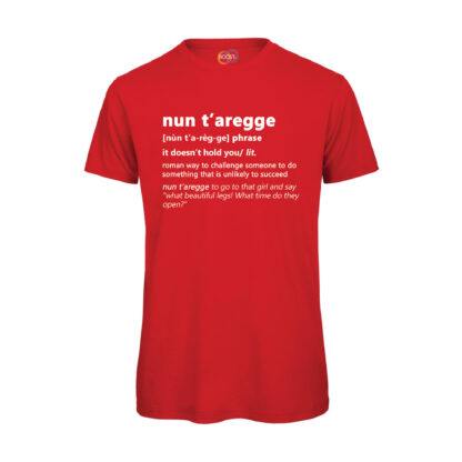 T-shirt-nun-t-Aregge-Maglietta-rosso-Dizionario-Romano-boostit
