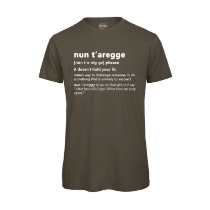 T-shirt-nun-t-Aregge-Maglietta-verde-uomo-Dizionario-Romano-boostit